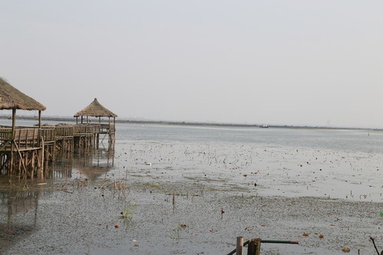 陽澄湖風(fēng)光