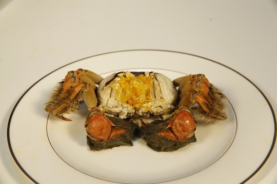 陽澄湖大閘蟹實拍