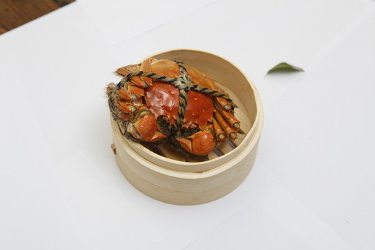 陽澄湖大閘蟹實(shí)拍