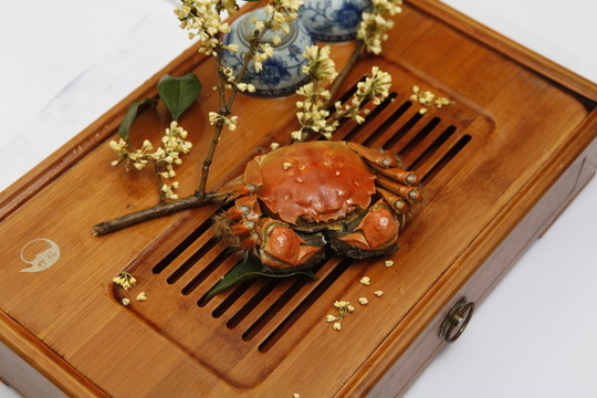 陽(yáng)澄湖大閘蟹實(shí)拍