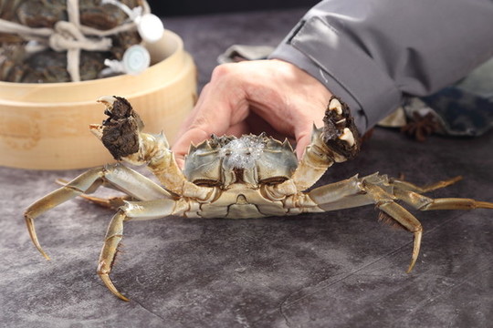 大閘蟹