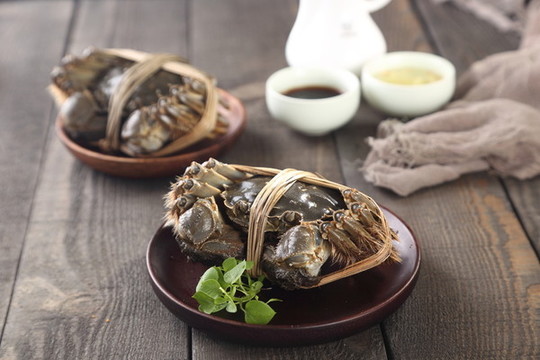 陽澄湖大閘蟹實拍