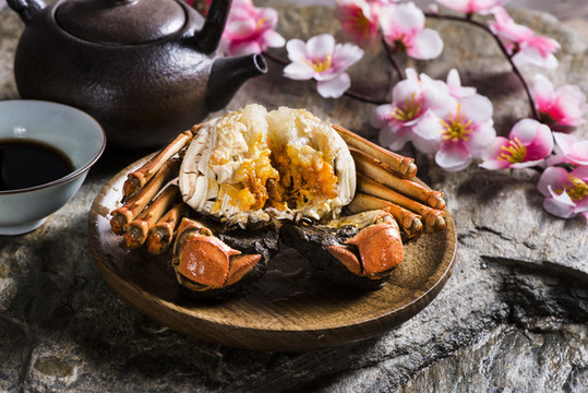 陽(yáng)澄湖大閘蟹實(shí)拍