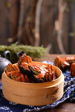 陽(yáng)澄湖大閘蟹實(shí)拍