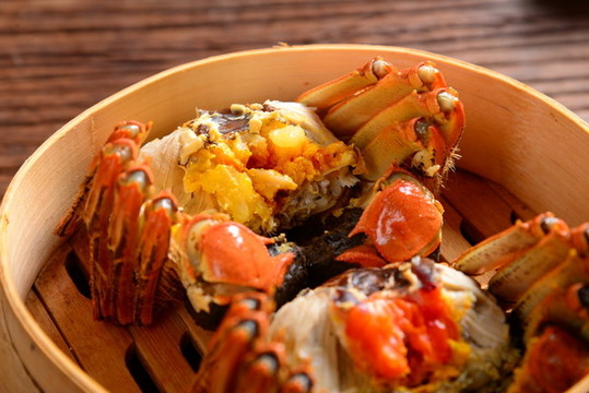 陽(yáng)澄湖大閘蟹實(shí)拍