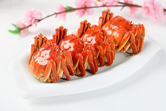 陽澄湖大閘蟹實拍