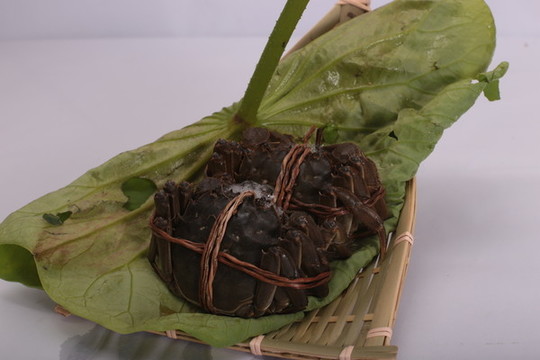 陽(yáng)澄湖大閘蟹實(shí)拍