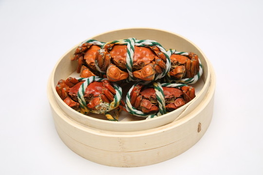 陽(yáng)澄湖大閘蟹實(shí)拍