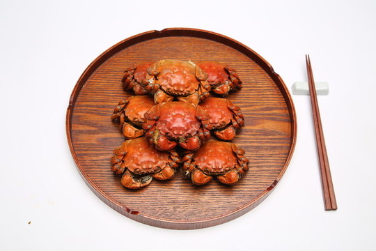 陽(yáng)澄湖大閘蟹實(shí)拍