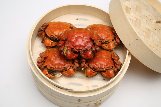 陽澄湖大閘蟹實拍