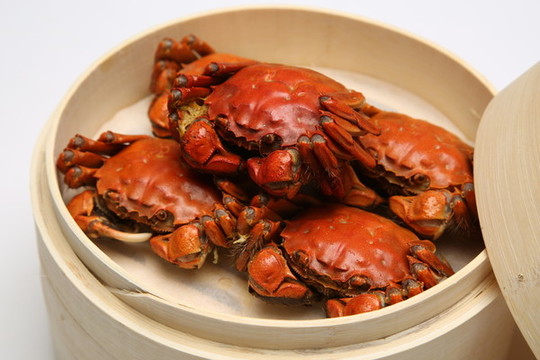 陽(yáng)澄湖大閘蟹實(shí)拍