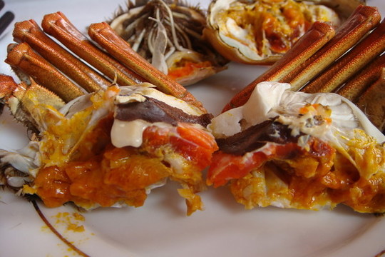 陽(yáng)澄湖大閘蟹實(shí)拍