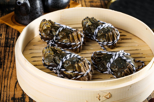 陽澄湖大閘蟹實拍
