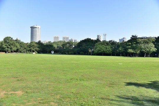 藍天草坪