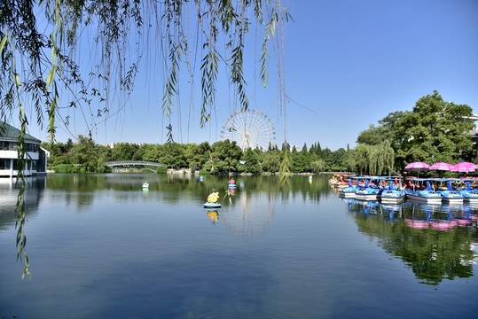 水上樂園
