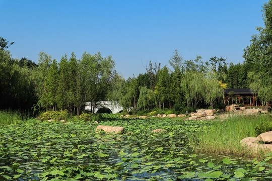 夏至小暑
