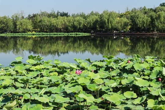 夏至小暑