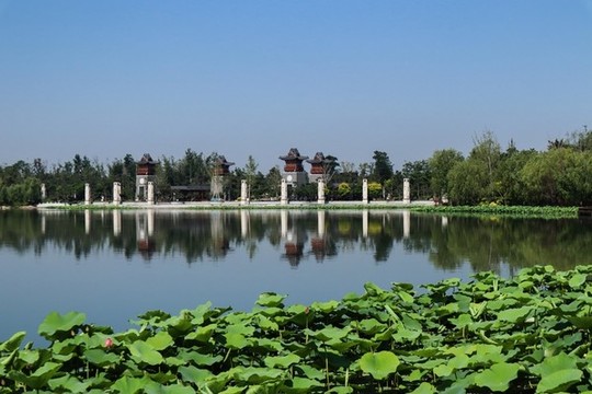 夏至小暑