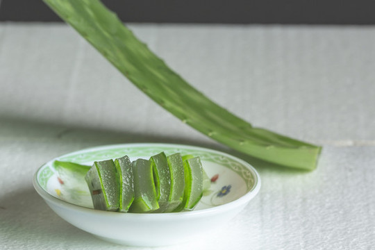 蘆薈