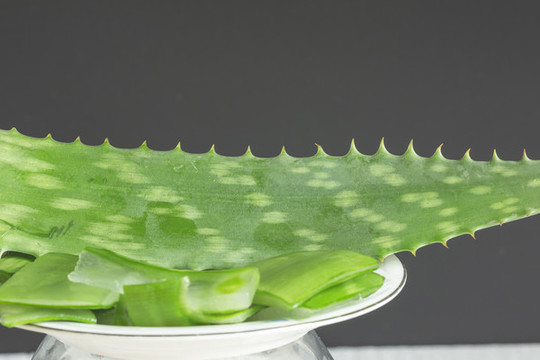 蘆薈