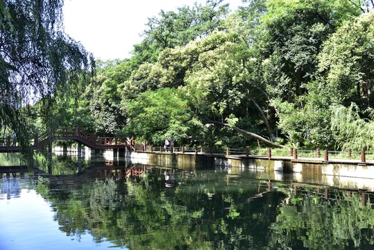 公園景色
