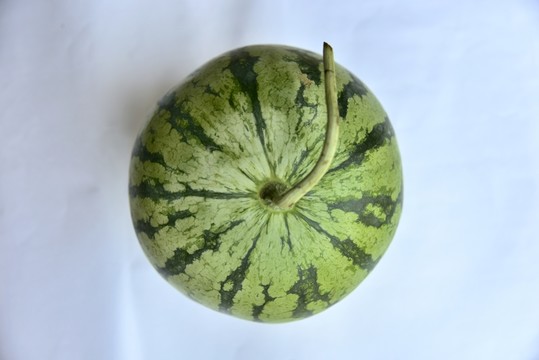 整個花皮西瓜