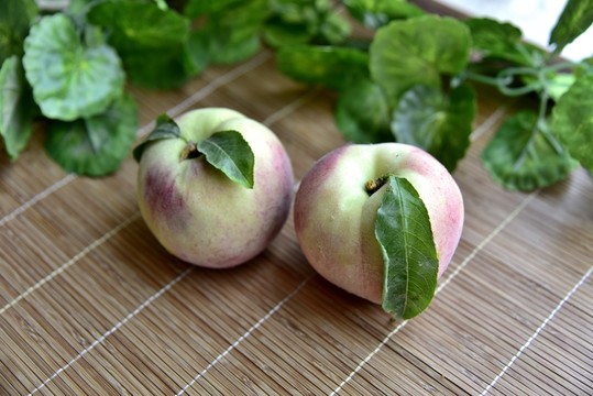 兩只桃子