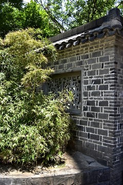 綠植灰磚墻