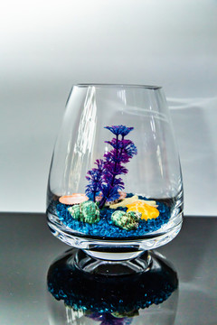 魚缸