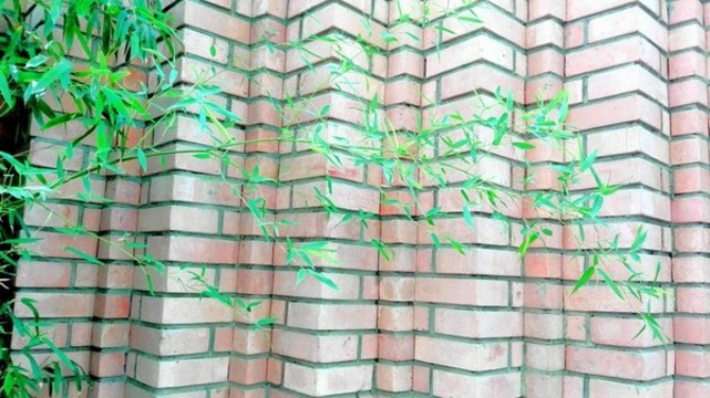 竹子磚墻