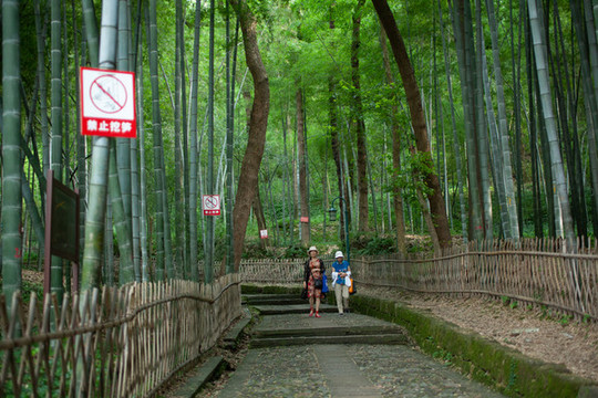 杭州寶石山的棲霞古道
