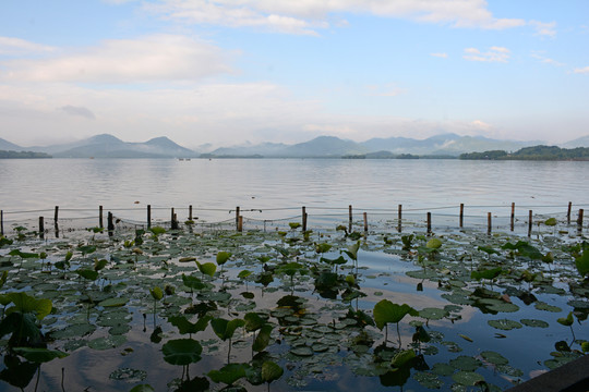 西湖風(fēng)景