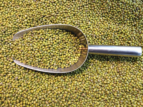 綠豆素材