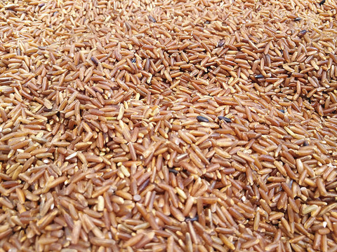 蕎麥米
