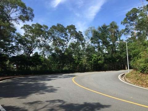圭峰山景區(qū)道路