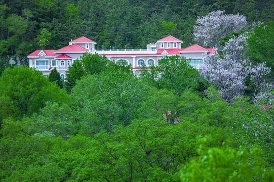 山中度假村
