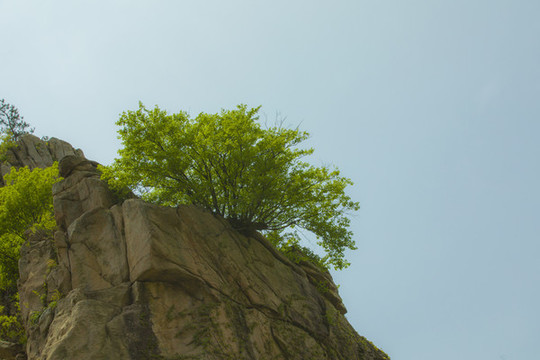 山林
