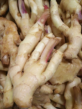 生姜素材