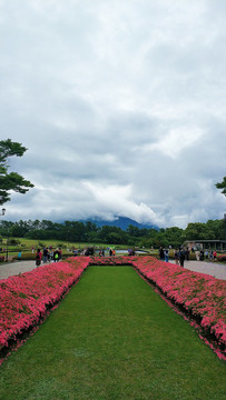 吉野公園