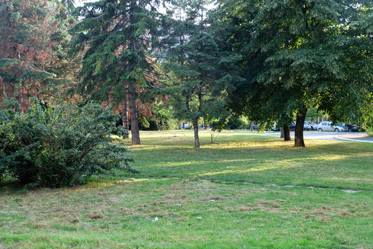 公園