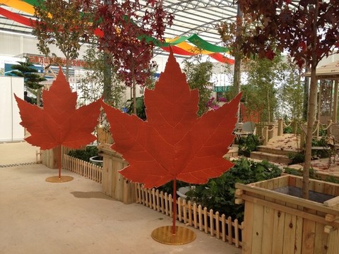 紅楓葉