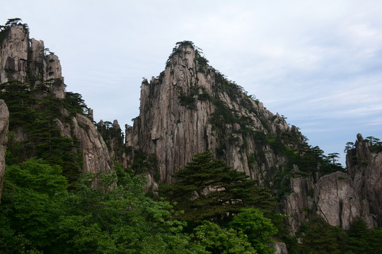 黃山