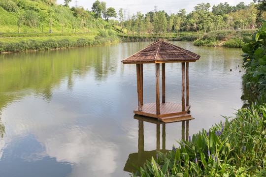 珠海公園