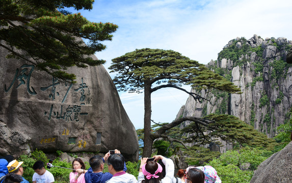 黃山迎客松