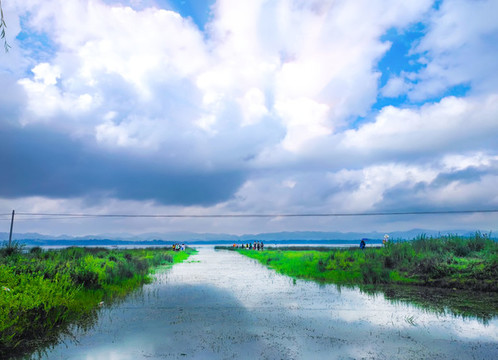 風(fēng)景