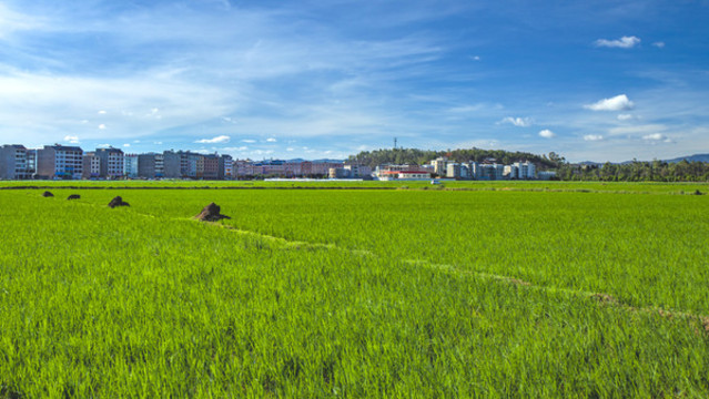 綠水青山屏保