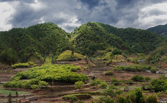 山影