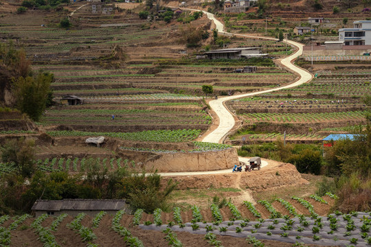 山區(qū)公路