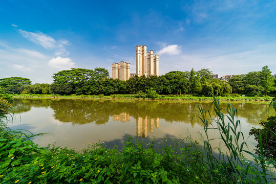 東莞風(fēng)景