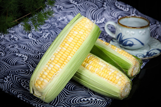 玉米